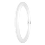 Osram Tubo LED T9 Circolare (EM/Mains) 18.3W 2200lm - 865 Luce Del Giorno | Sostitutiva 32W
