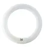 Osram T9 Lumilux Circline 32W - 840 Bianco Freddo | 30cm