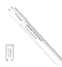 Noxion Tubo LED T8 Avant (EM/Mains) Standard Output 15W 1800lm - 830 Luce Calda -  | 120cm - Sostitutiva 36W